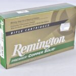 Remington .300 Win. Mag. Copper Solid BT 165grs / 10