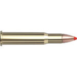 Hornady .30-30 Win 160grs 20STK FTX Lever Evolution