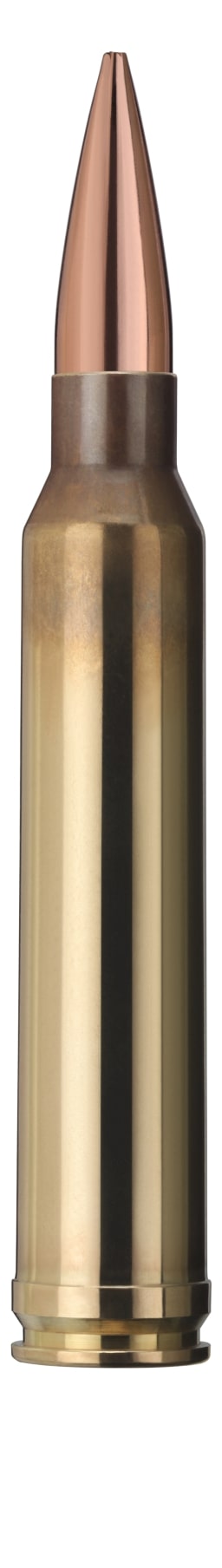 Geco .300 WinMag Target HP 190grs / 12